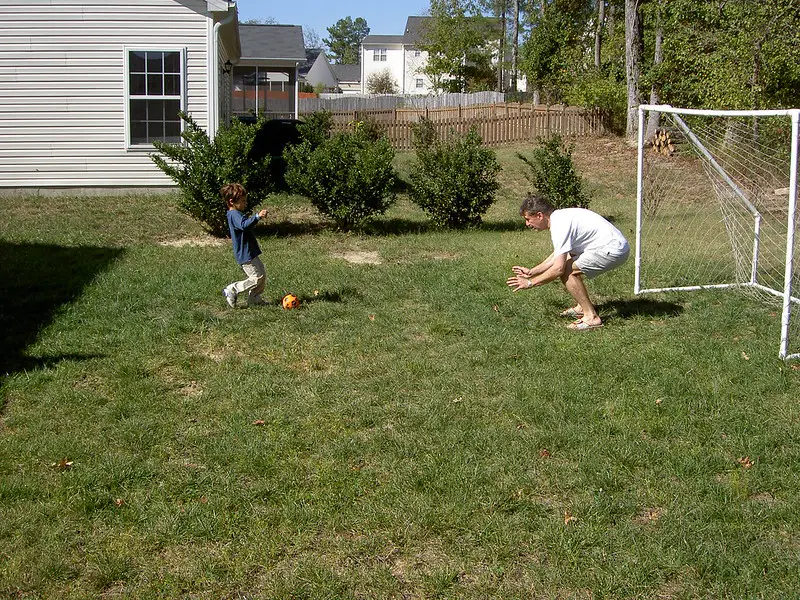 Soccer Goal vs. Rebounder: Which Is Best for My Yard?